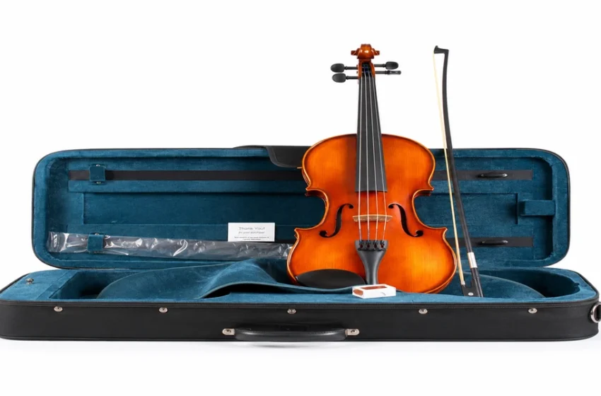  Benefits Of Renting String Instruments Before Making a Long-Term Investment